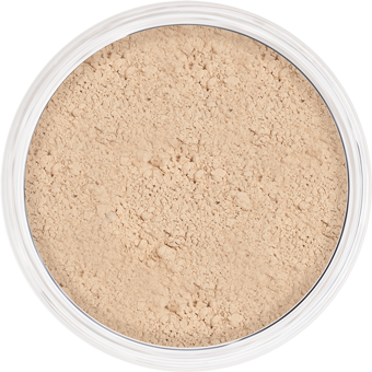 Anti-Shine Powder 25 g